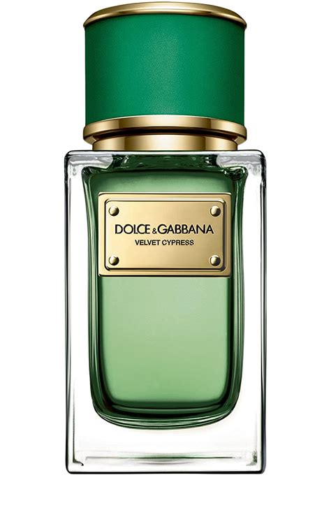 dolce gabbana velvet cypress kaufen|Dolce & Gabbana Velvet Cypress Eau de Parfum Spray, 1.7 Ounce.